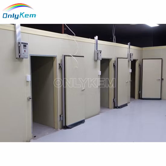 Cupc Hot Walk in Bathtub Disabled Bath Shower Hot Tub with Door (Q372)